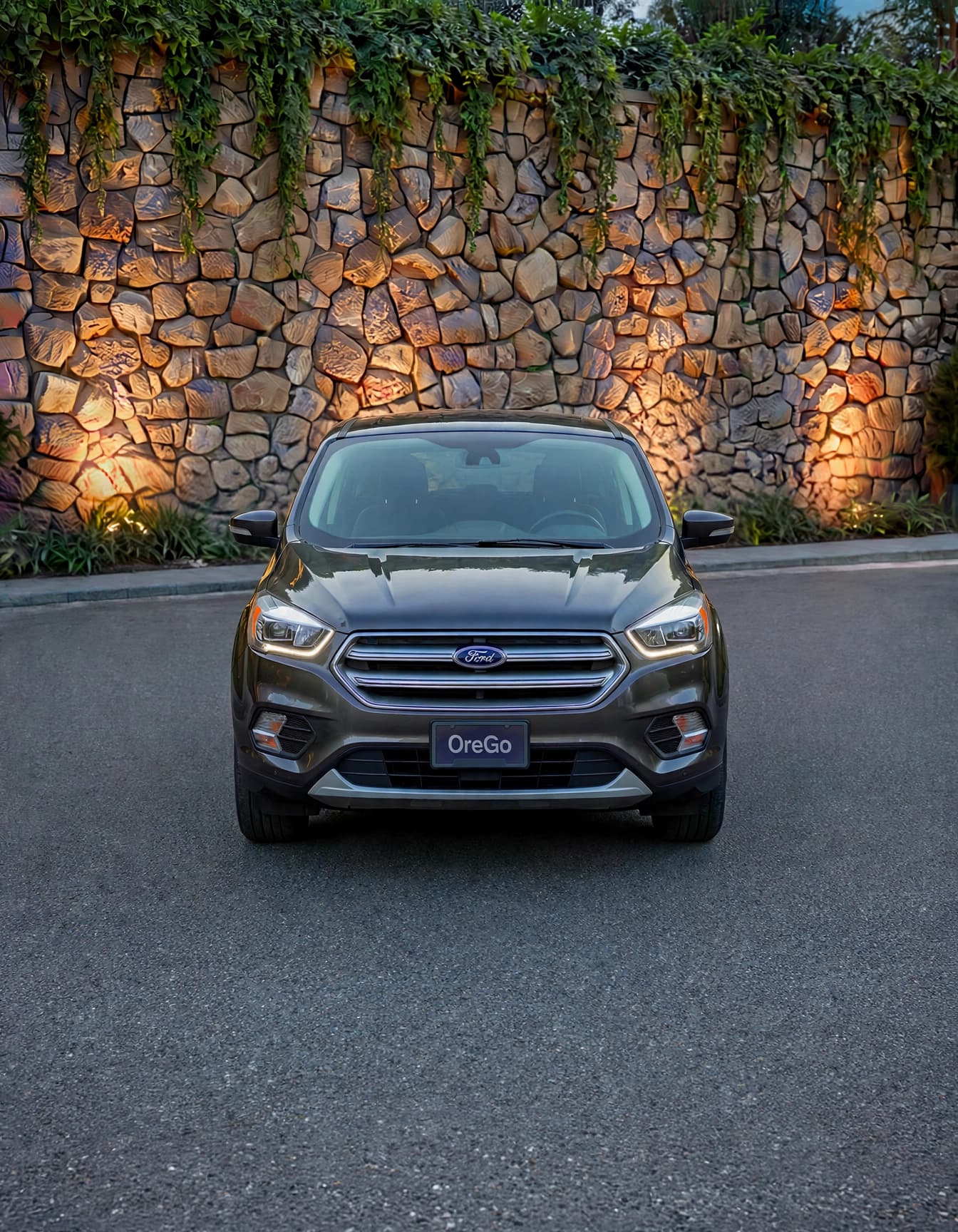 Ford Escape - Photo 3